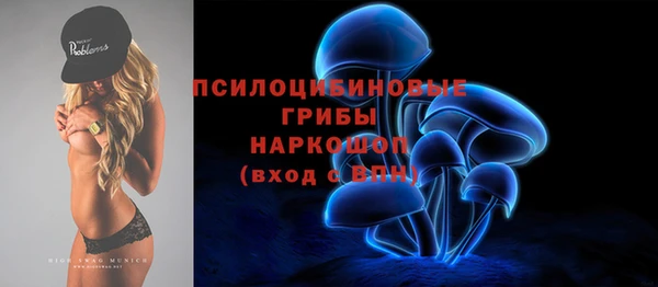 тгк Алзамай