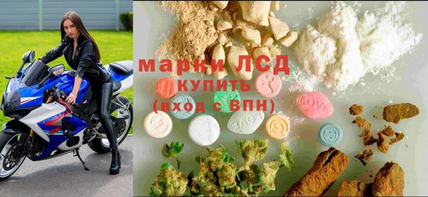 тгк Алзамай