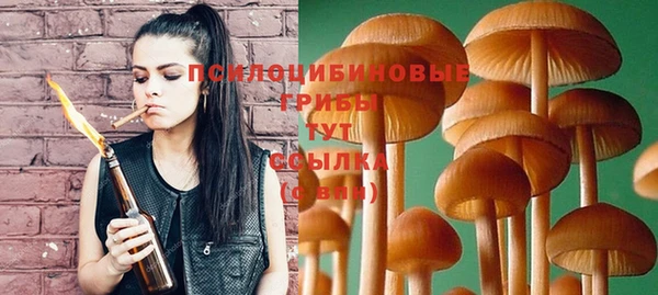 тгк Алзамай