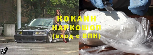 тгк Алзамай